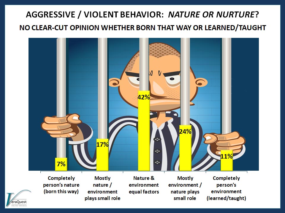 Tilføj til udføre Forretningsmand Aggressive/Violent Behavior: Nature VS. Nurture (#1) - VeraQuest Research